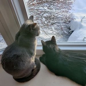 Meet your Posher, Brooke